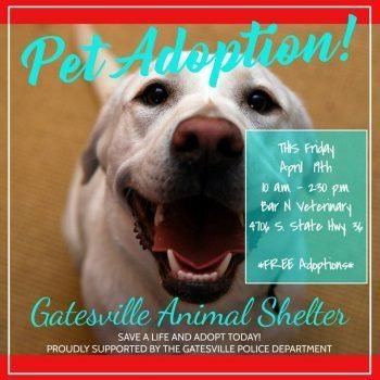 Gatesville Animal Shelter Adoption Event - Part II! - Bar N Veterinary ...